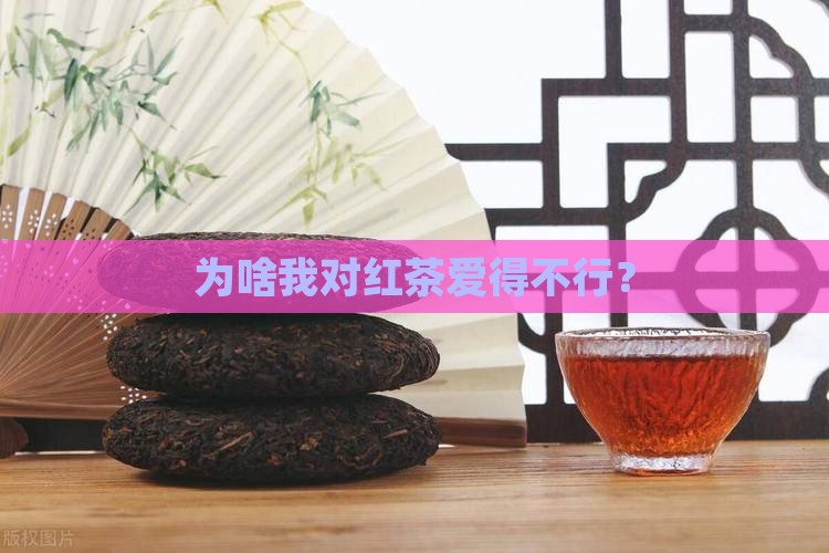 为什么喜欢喝红茶