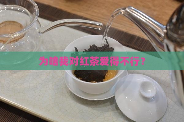 为什么喜欢喝红茶