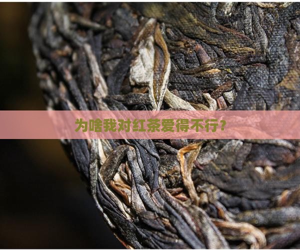 为什么喜欢喝红茶