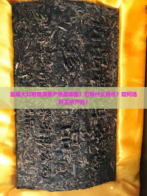 盐城大红柑普洱茶产地
