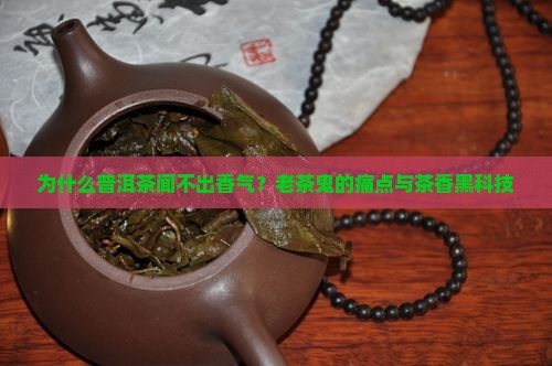 普洱茶闻不出香气