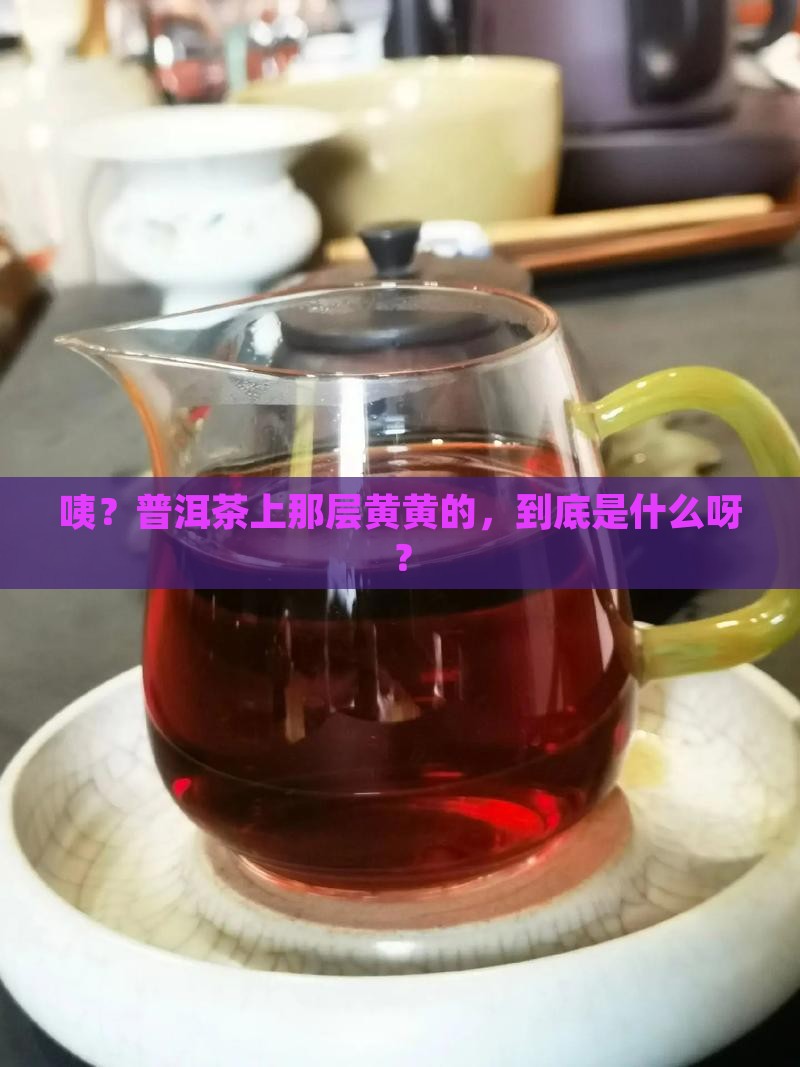 普洱茶表面有黄黄色的东西