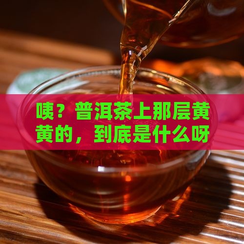 普洱茶表面有黄黄色的东西
