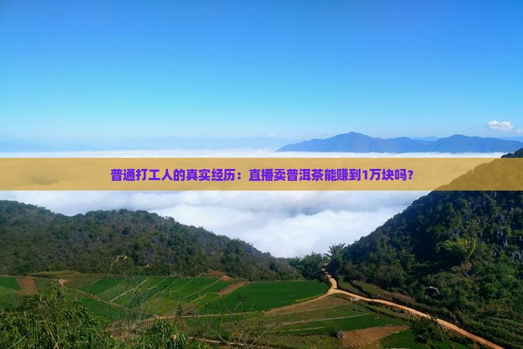 普洱茶直播能赚钱吗