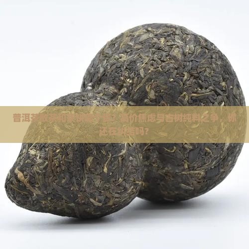 普洱茶散茶和茶饼哪个贵