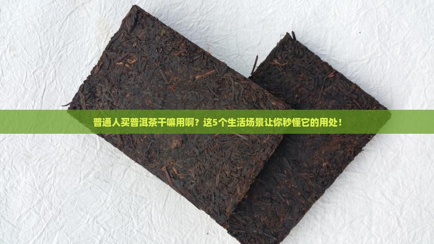 普洱茶在市场有什么用处
