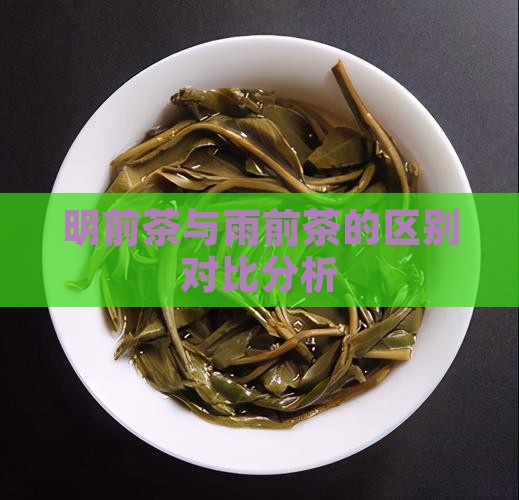 明前茶与雨前茶的区别