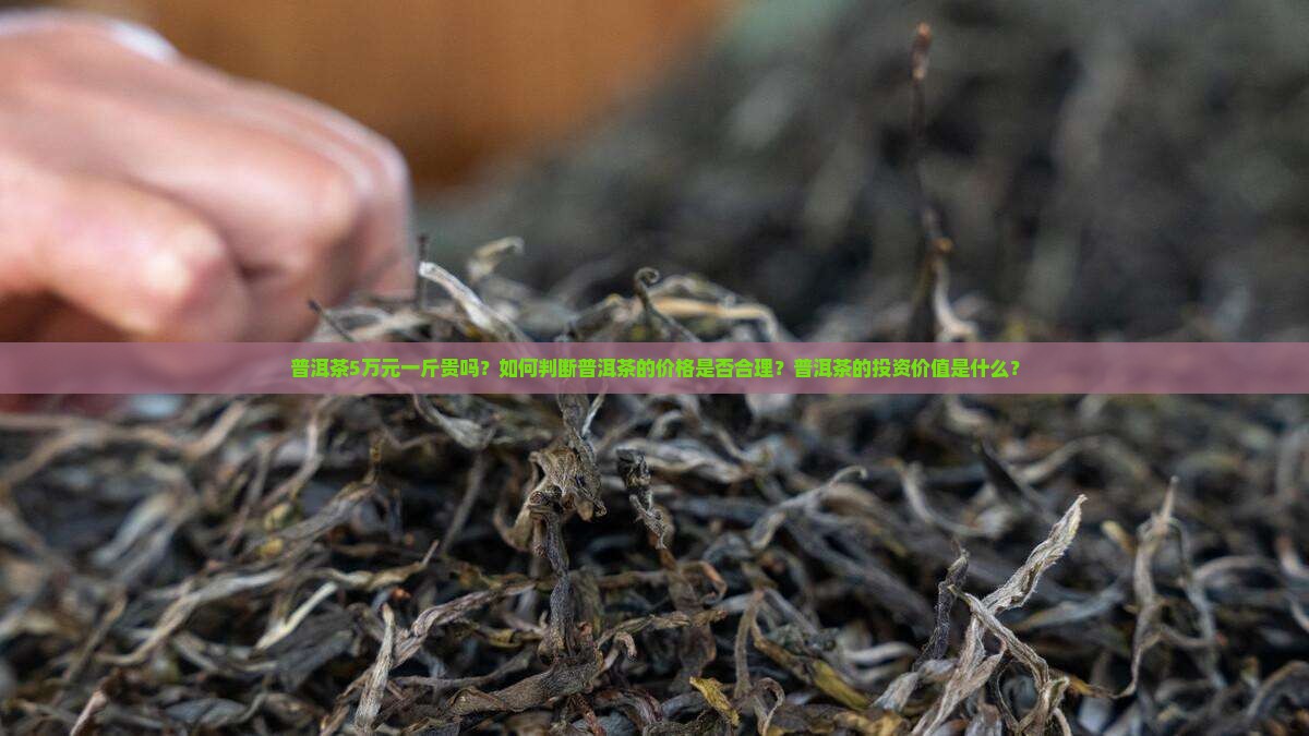 普洱茶5万元一斤贵吗