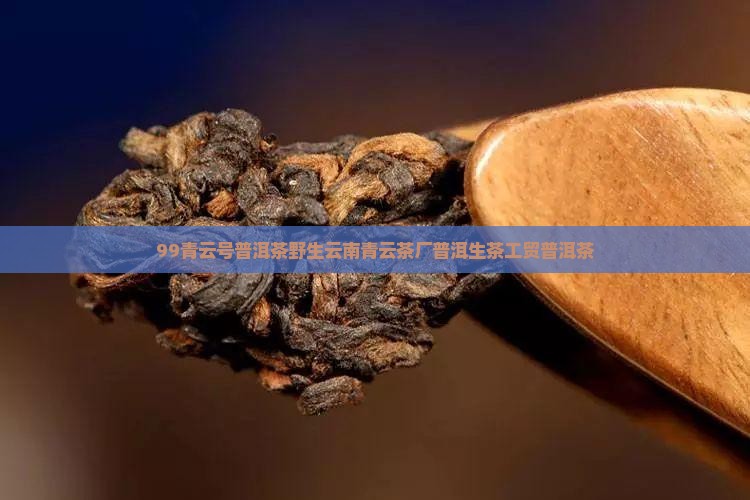 99青云号普洱茶