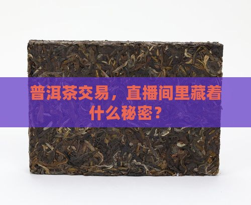 普洱茶交易市场直播基地