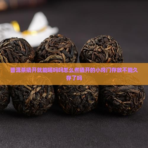 普洱茶撬开就能喝吗吗怎么煮
