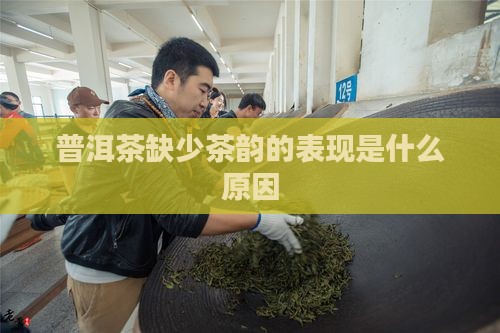 普洱茶缺少茶韵的表现为