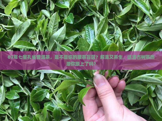 03年七星孔雀普洱茶