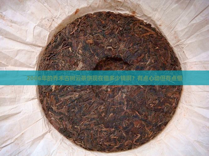 2006年乔木古树云茶饼价格