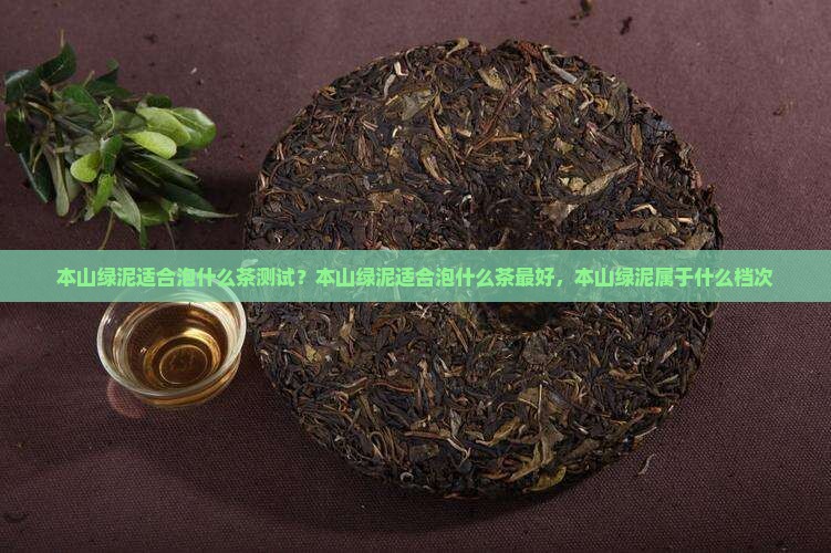 本山绿泥适合泡什么茶 本山绿泥适合泡什么茶