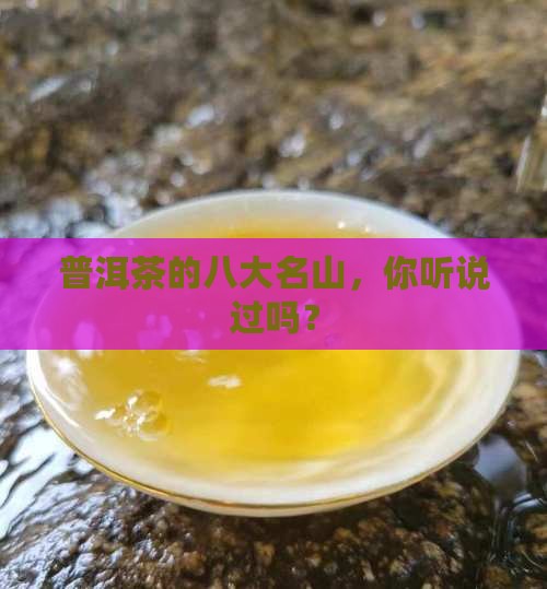 普洱茶的八大名山是什么
