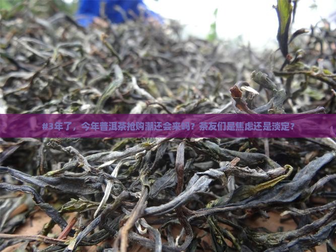 又要抢购普洱茶了吗