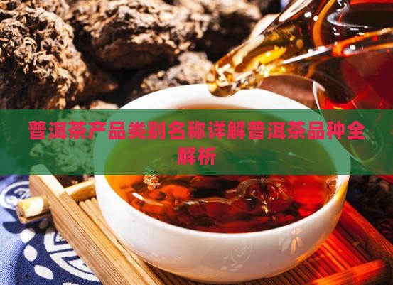 普洱茶产品类别名称