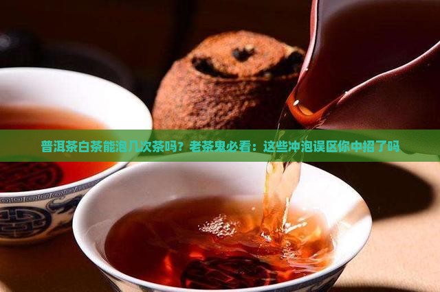 普洱茶白茶能泡几次茶吗
