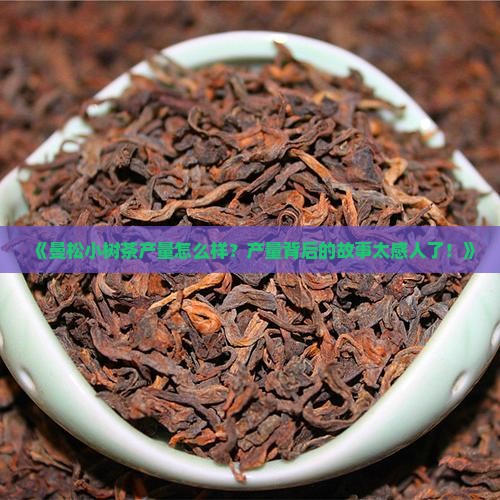 曼松小树茶产量