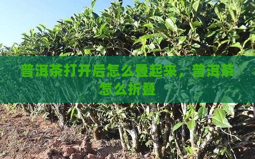 普洱茶打开后怎么叠起来