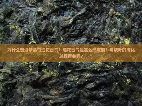 普洱茶为什么有油花香气