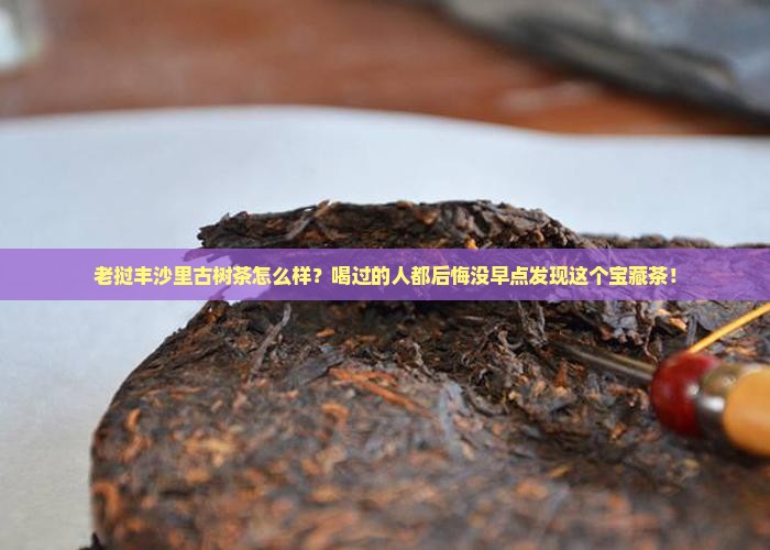 老挝丰沙里古树茶怎么样