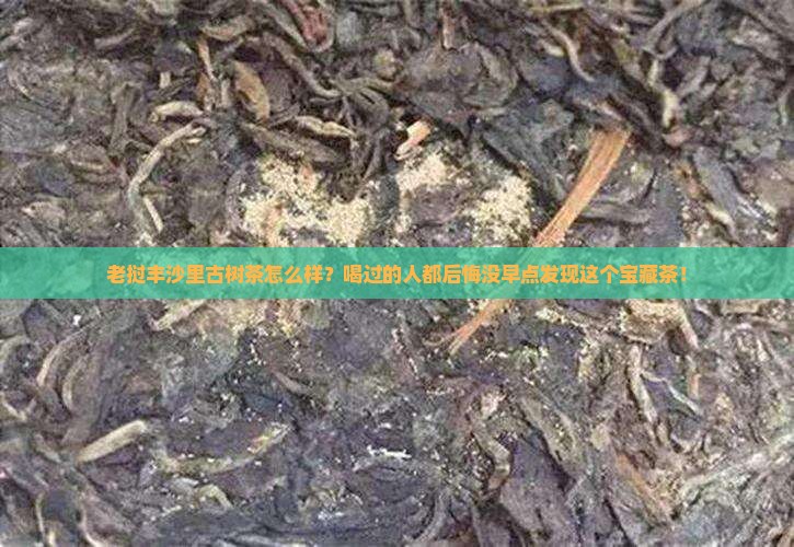 老挝丰沙里古树茶怎么样
