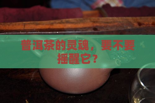 普洱茶需不需要摇香