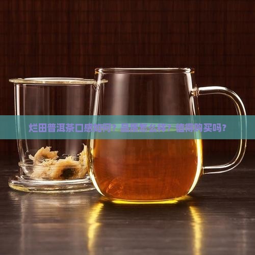 烂田普洱茶怎么样
