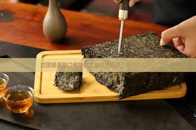 烂田普洱茶怎么样