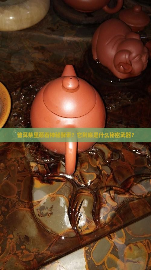 普洱茶是酵素吗