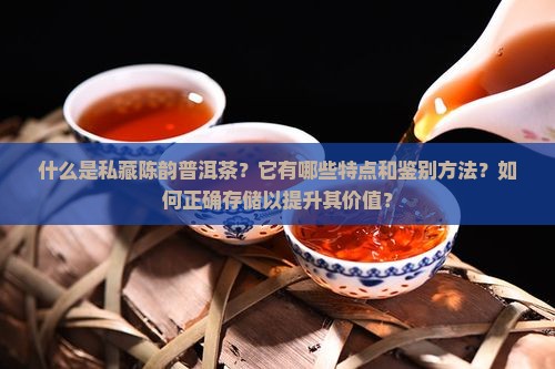 私藏陈韵普洱茶