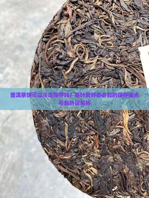 普洱茶饼可以冷冻保存吗