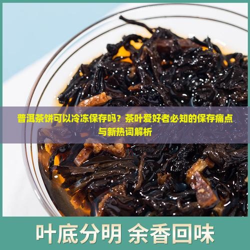 普洱茶饼可以冷冻保存吗