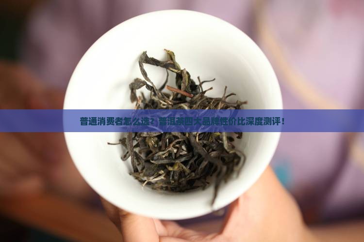 普洱茶的品牌性价比