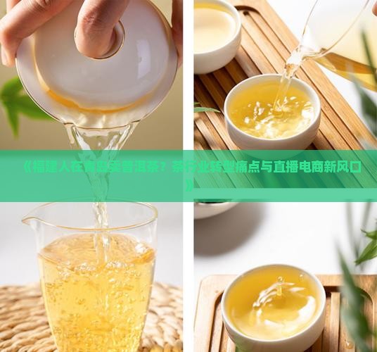 福建人在青岛卖普洱茶