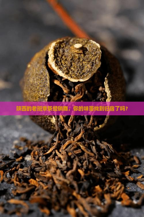 陕西老班章茶经销商 陕西老班章茶经销商