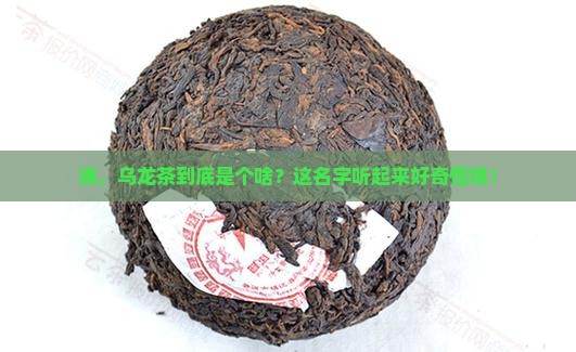 乌龙是什么茶类 乌龙是什么茶类