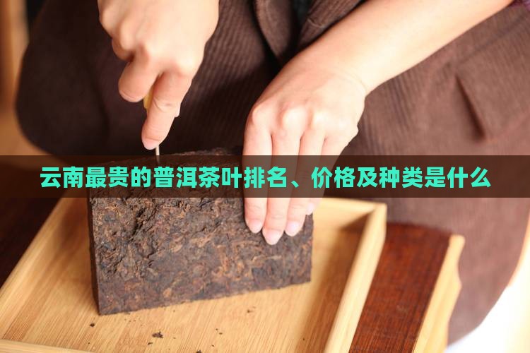 云南最贵的普洱茶叶