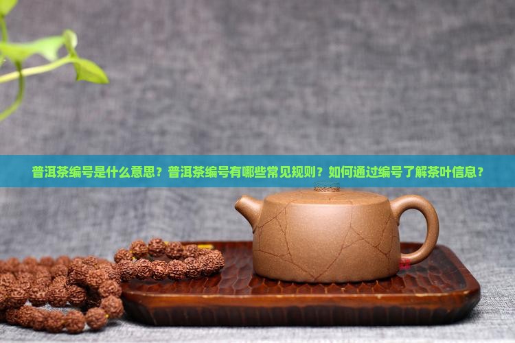 普洱茶编号讲解