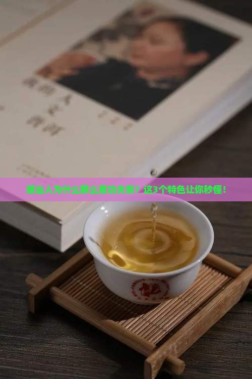 潮汕功夫茶有哪些特色
