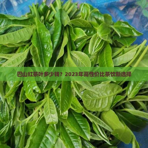 巴山红茶叶多少钱