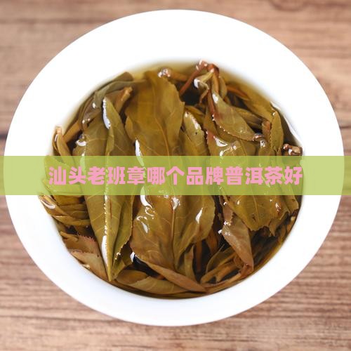 汕头老班章选哪家好
