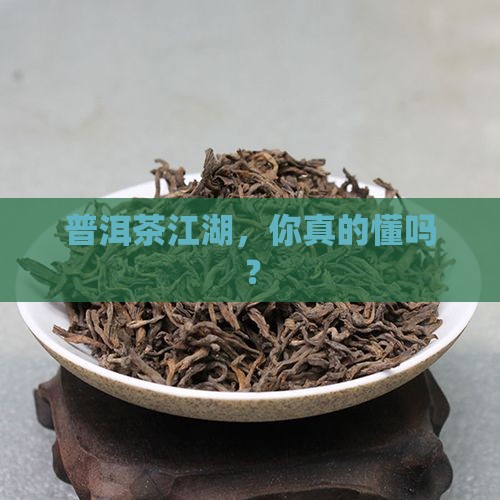 普洱茶的江湖介绍