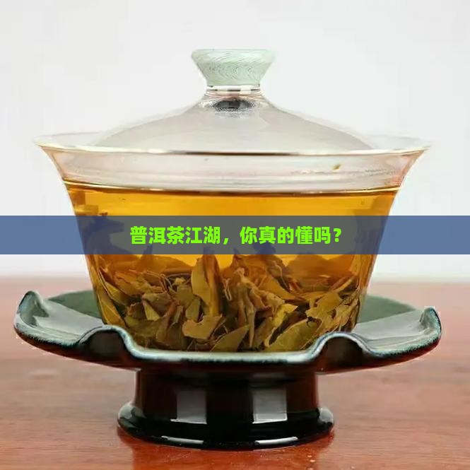 普洱茶的江湖介绍