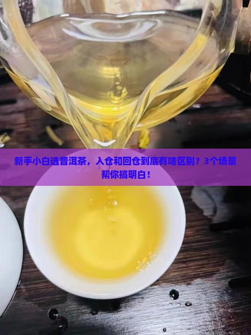 入仓和回仓普洱茶