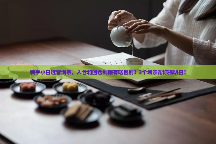 入仓和回仓普洱茶