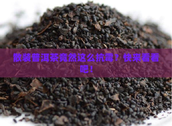 普洱茶散装不容易发霉