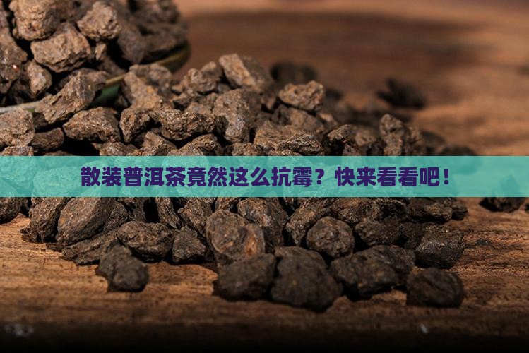 普洱茶散装不容易发霉